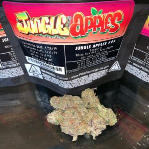 jungle apple strain