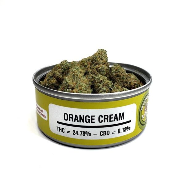 Space Monkey Orange Cream