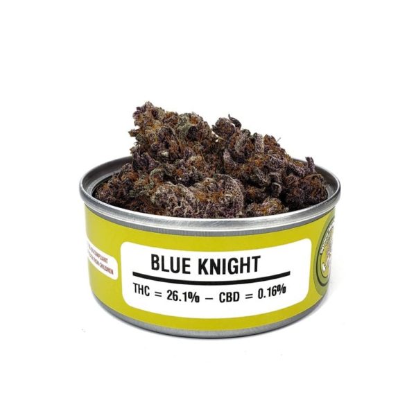 Space Monkey Blue Knight